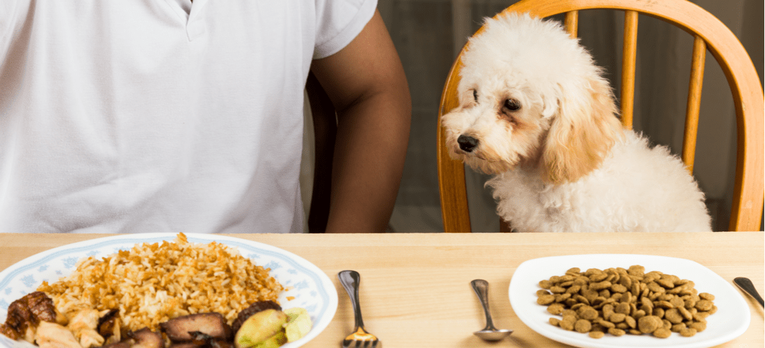 Should You Share Holiday Leftovers with Your Dog?