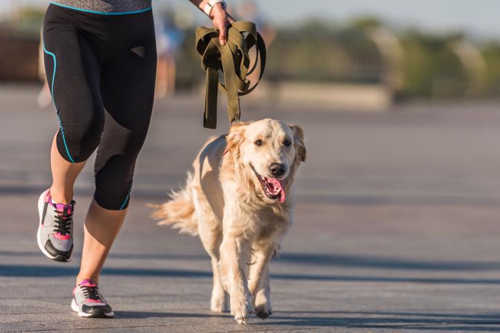 running-with-your-dog