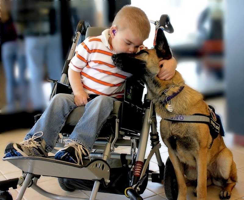 therapy-dogs-for-autistic-people-1