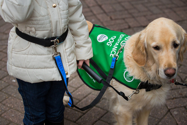 Therapy Dogs for Autistic People