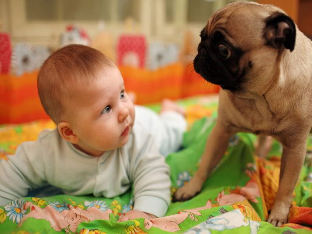 puppy-and-baby-2