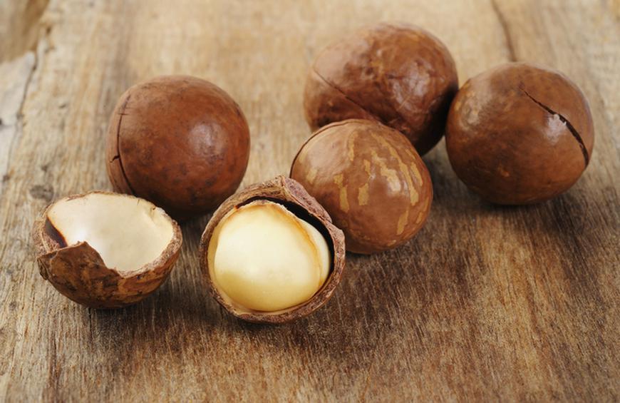 macadamia-nut-toxicity