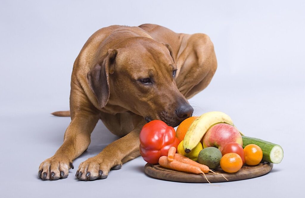 Best-Vegetables-to-Feed-Dog