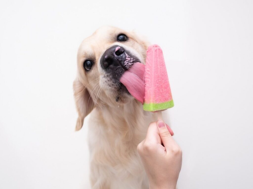 Can-Dogs-Eat-Popsicles