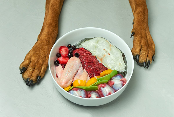 Raw-Food-Diet-for-Dogs