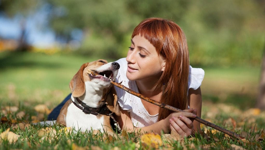 10 Common Mistakes Dog Owners Make : Dog Breed Characteristics & Care