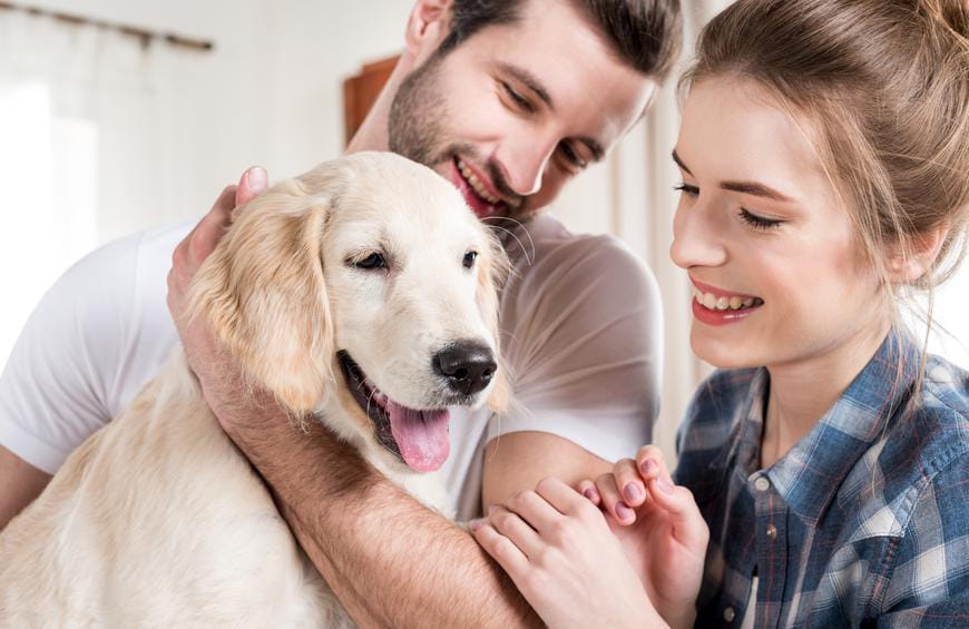 How to Choose the Right Dog for You :  Dog Breed Characteristics & Care