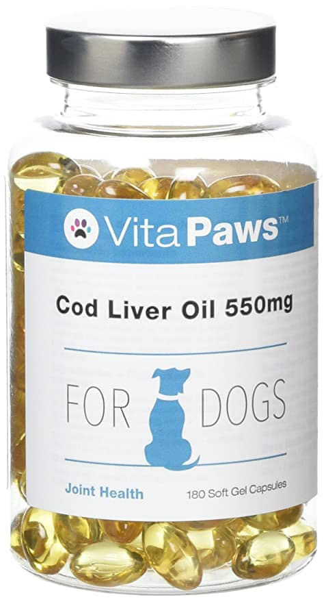 Can-My-Dog-Have-Fish-Oil?