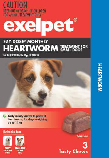 Heartworm-Treatment:-What-Are-Your-Options?