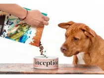 What Is Healthy Dog Food?