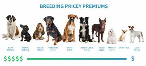 Are Some Breeds Of Dog More Expensive To Insure?